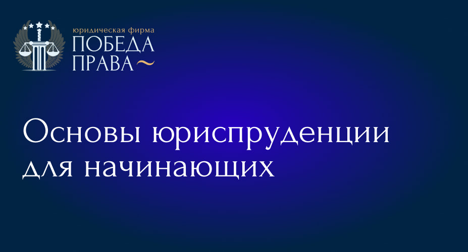 Основы юриспруденции для начинающих