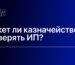 Может ли казначейство проверять ИП?